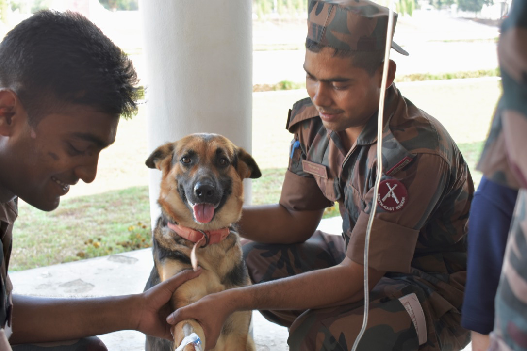 SoA update: Our latest work in Asia-Pacific