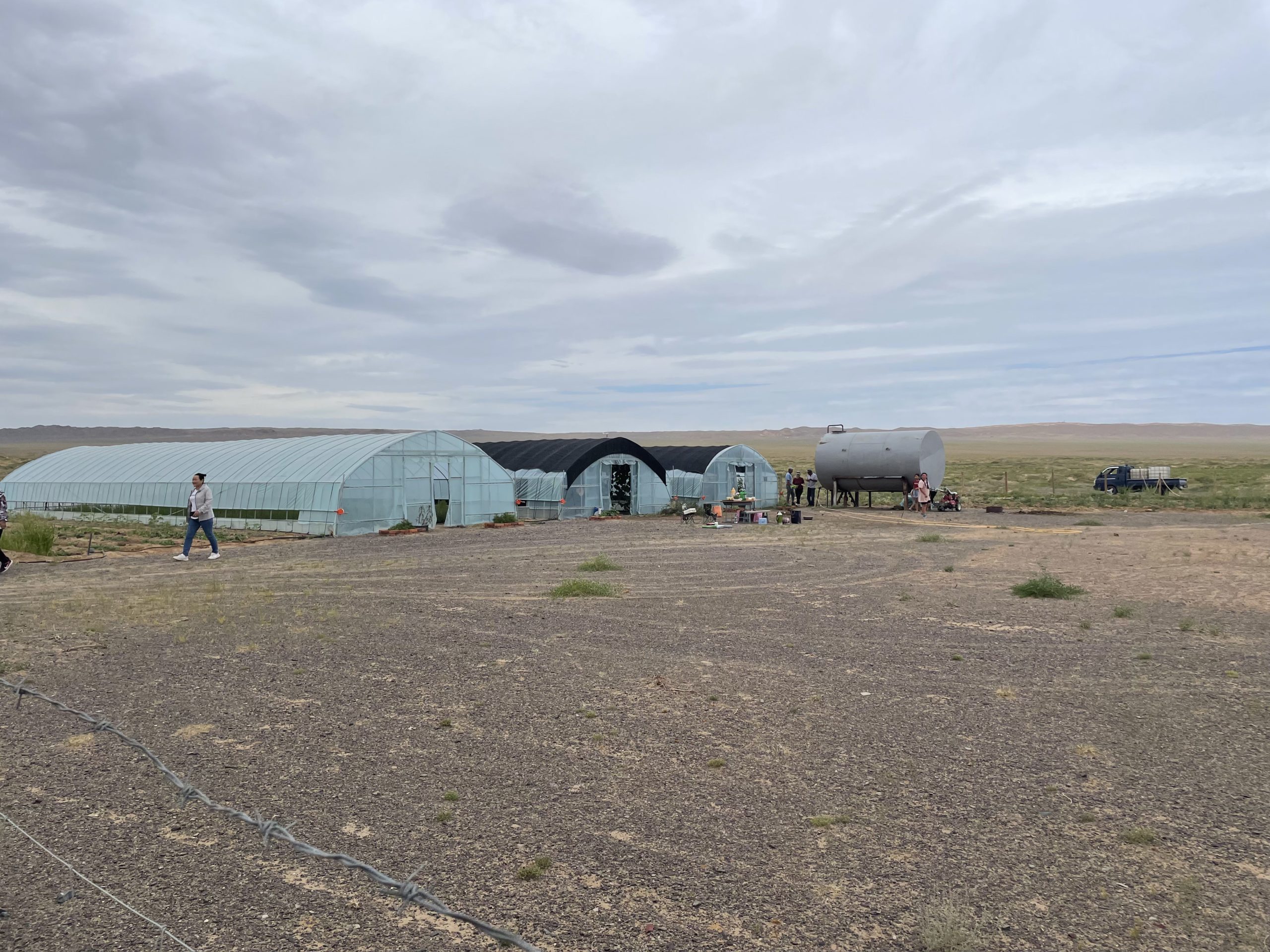 IMG_2673 Greenhouse in Mongolia