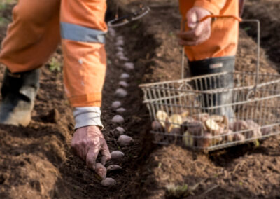 Strengthening a NATO Ally Through Agriculture