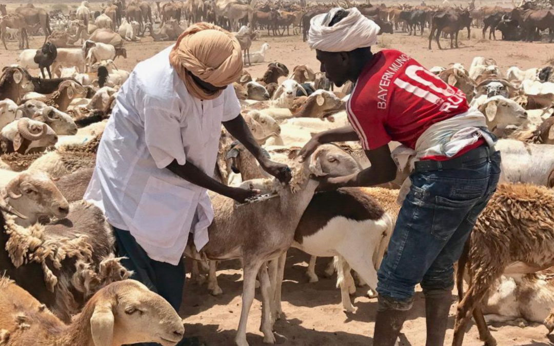 Preventing War in West Africa